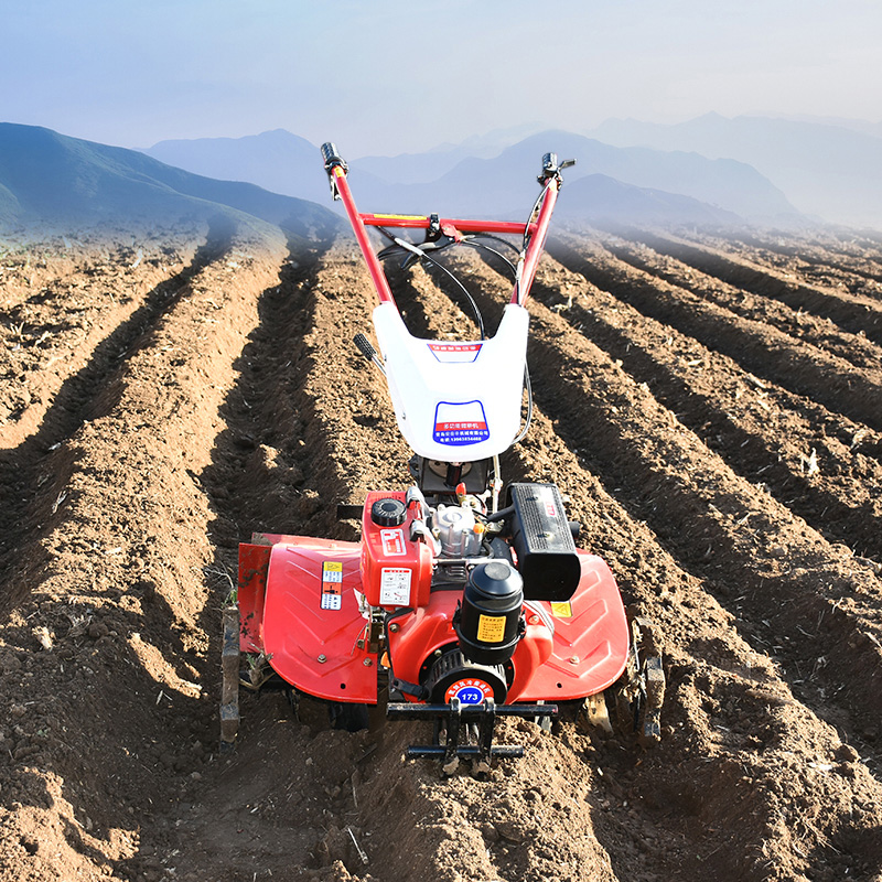 Two wheel drive micro tiller